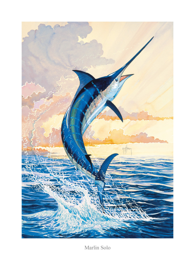 guy harvey marlin wallpaper