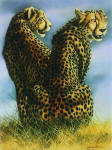 andrew bone cheetah park west gallery