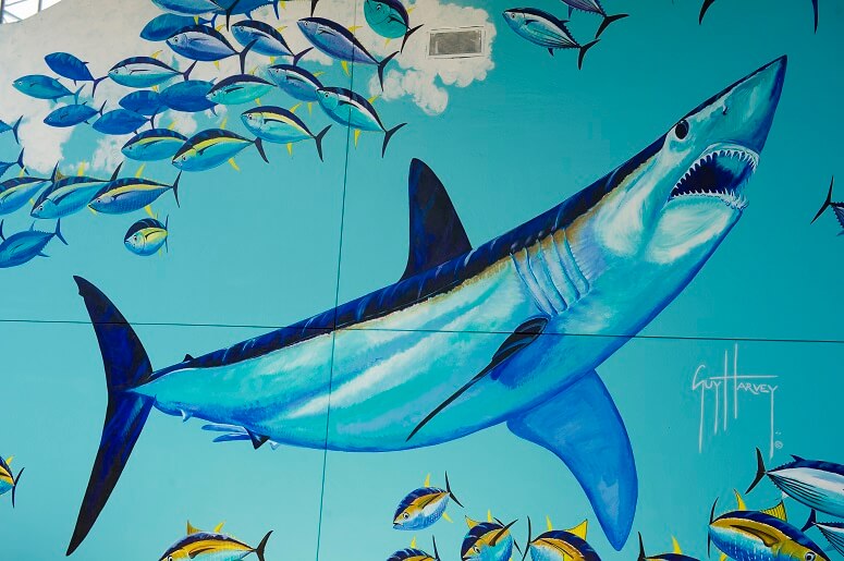 Part of the finished mural by Guy Harvey at SeaWorld Orlando. (Photo courtesy of Sea World Parks & Resorts Orlando)