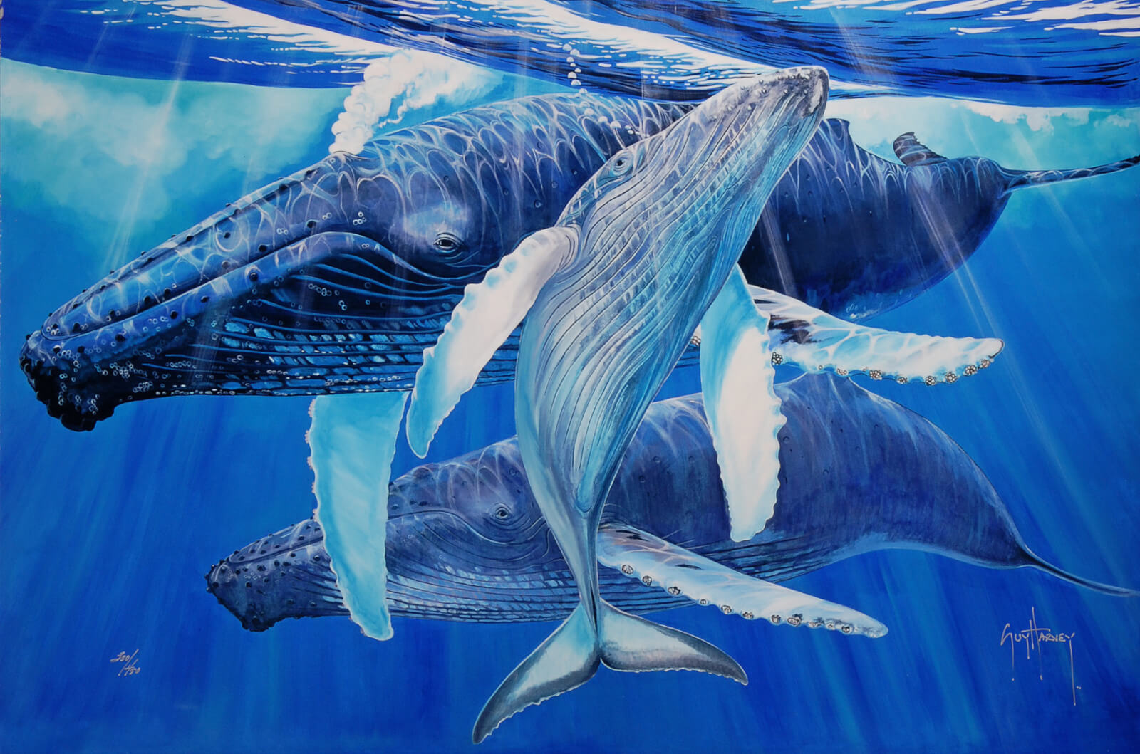 "Mother's Touch" (2015), Guy Harvey