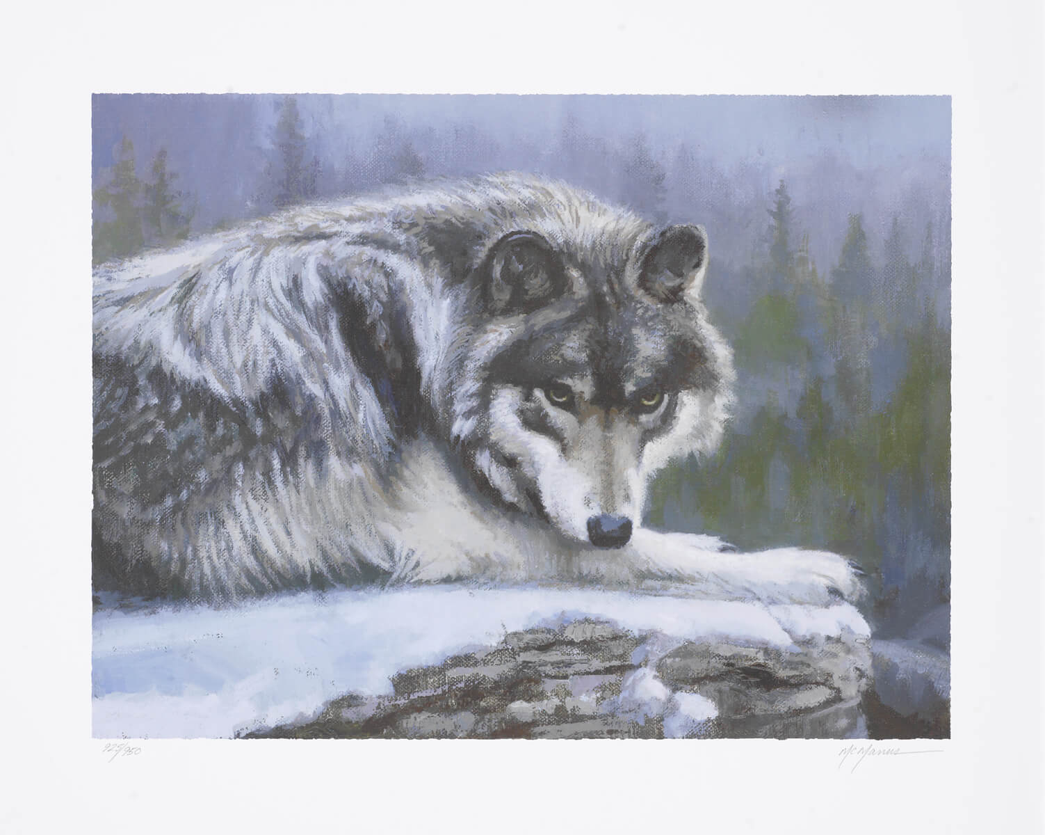 A close up, realistic painting of a wolf resting on a snowy boulder looking directly at the viewer