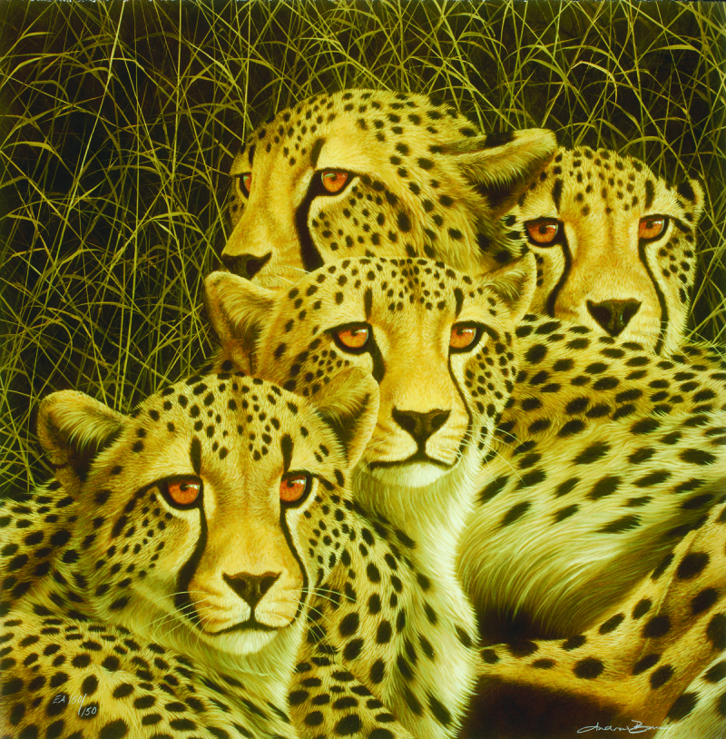 Andrew Bone cheetah, mother's day