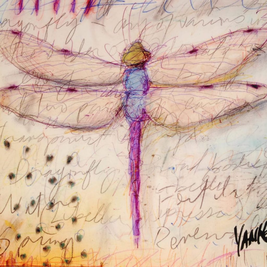 Tim Yanke Dragonfly on metal Park West Gallery