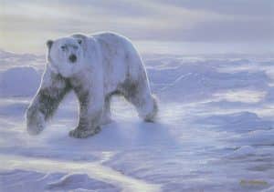 Polar Bear walking across a snowy landscape