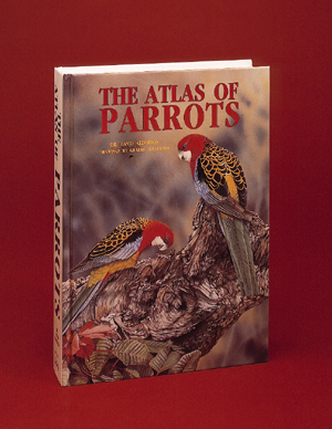 Graeme Stevenson Atlas of Parrots Park West Gallery