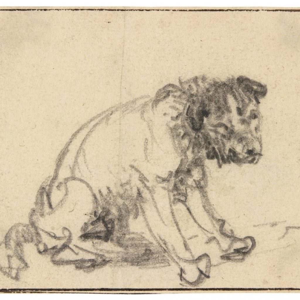 Rembrandt dog drawing Herzog Anton Ulrich Museum