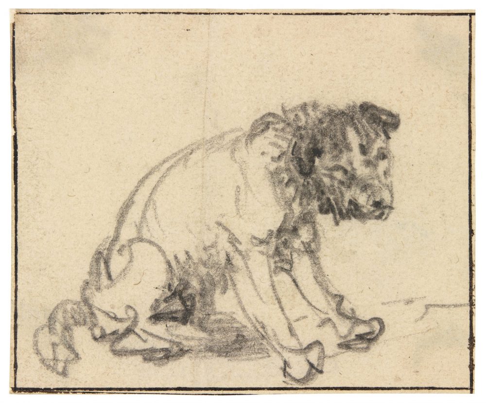 Rembrandt dog drawing Herzog Anton Ulrich Museum