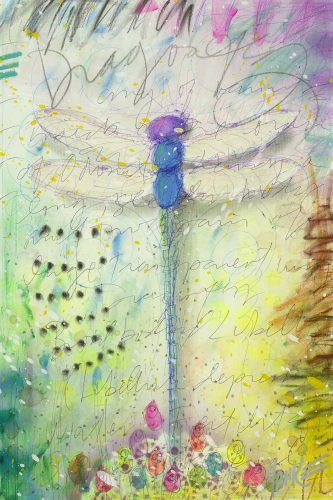 Dragonfly Tim Yanke Park West Gallery