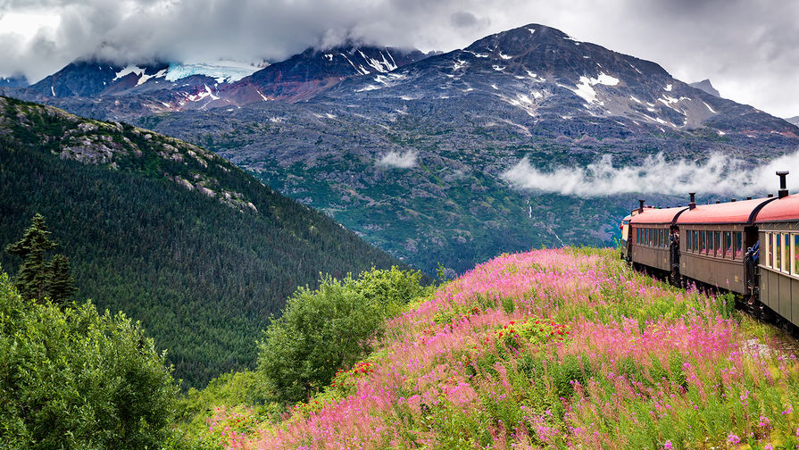 The White Pass