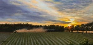 "Farmer's Sunset," Thomas Tunney