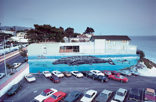 Wyland's first "Whaling Wall" mural, “Gray Whale and Calf." It was originally finished in 1981, but was repainted in 1986. (Image courtesy of the Wyland Foundation)