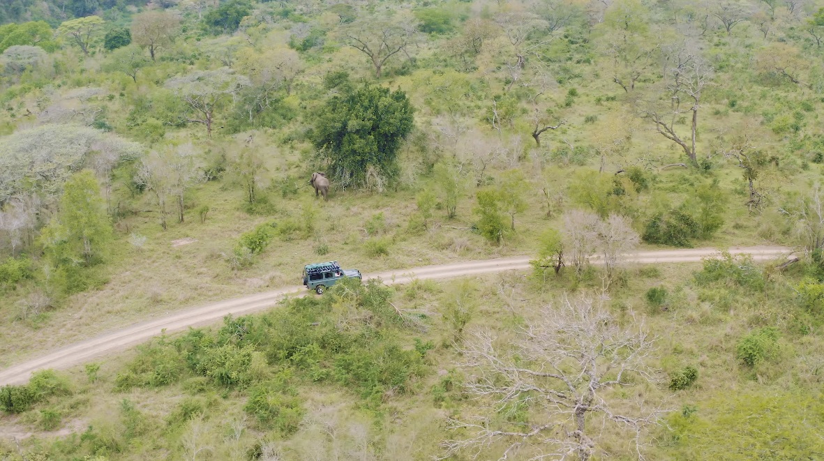 Andrew Bone's Land Rover pushes forward, while a nearby elephant strolls away.