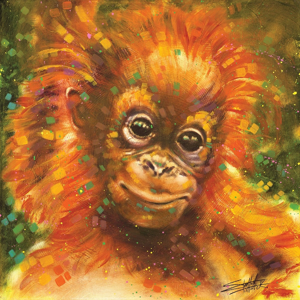 "Baby Orangutan," Stephen Fishwick
