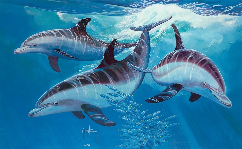 "Nosin' Around," Guy Harvey