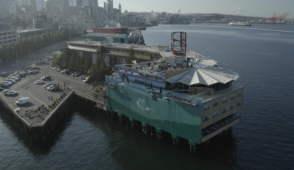 Bird's-eye view of the in-progress mural on the side of Seattle's Edgewater Hotel.