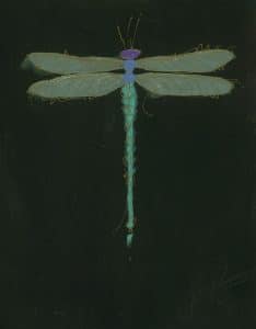 "Dragonfly Black," Tim Yanke