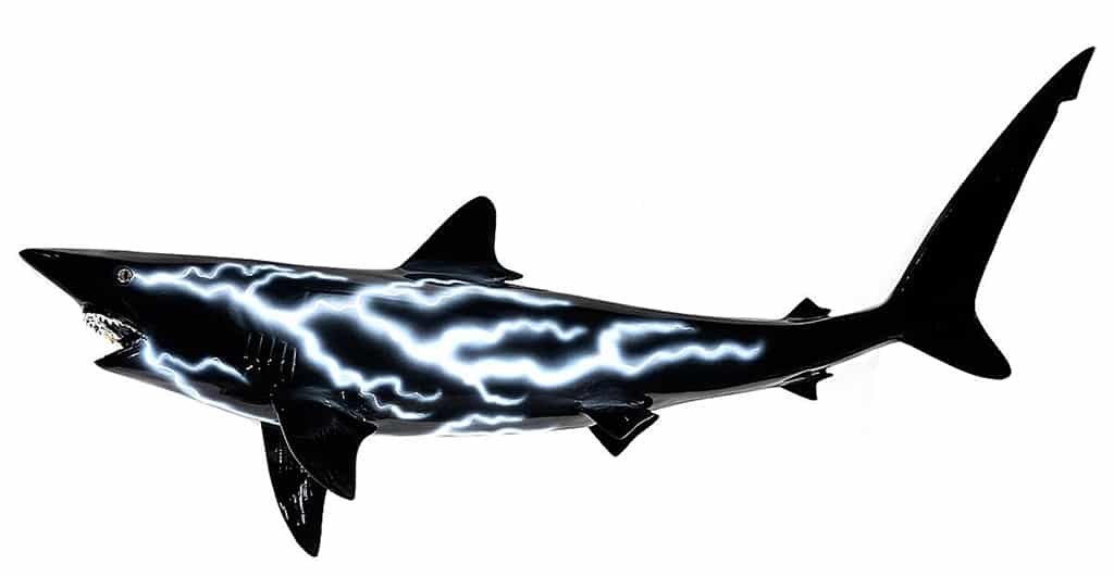 "Black Tip Shark Lightning," Cris X
