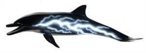 "Dolphin Lightning," Cris X