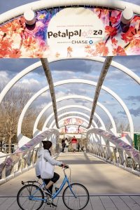 DC's iconic Yards Park Bridge is wrapped in cherry blossom designs by Daniel Wall