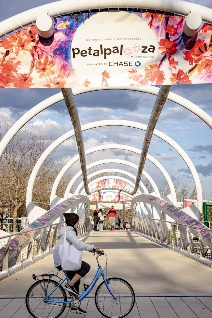 DC's iconic Yards Park Bridge is wrapped in cherry blossom designs by Daniel Wall