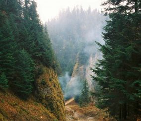 The New Clear and Bold Blog