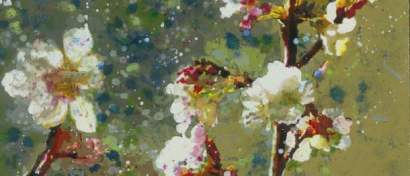 April showers, Pangborn flowers