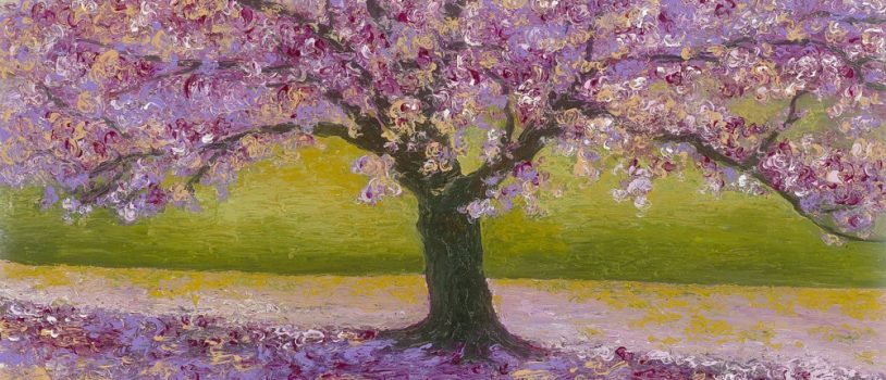 Experience “Art and Serenity” with David Najar