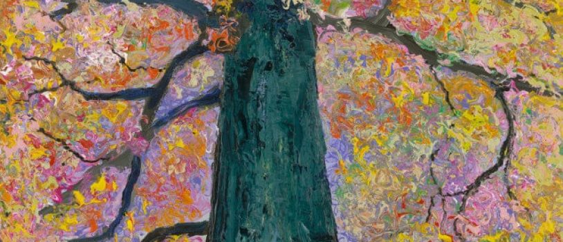 View the “Art and Serenity” David Najar collection