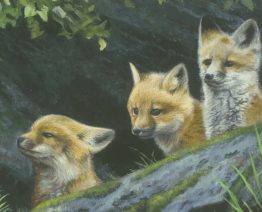 Pat McManus: Painting the Softer Side of Nature
