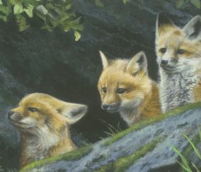 Pat McManus: Painting the Softer Side of Nature