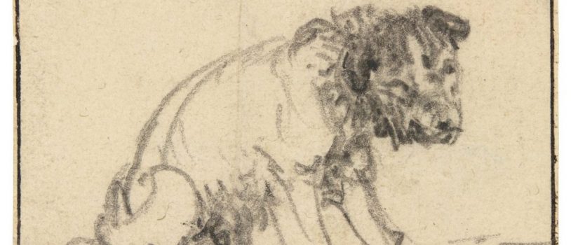 Museum Discovers Drawing is Actually by Rembrandt