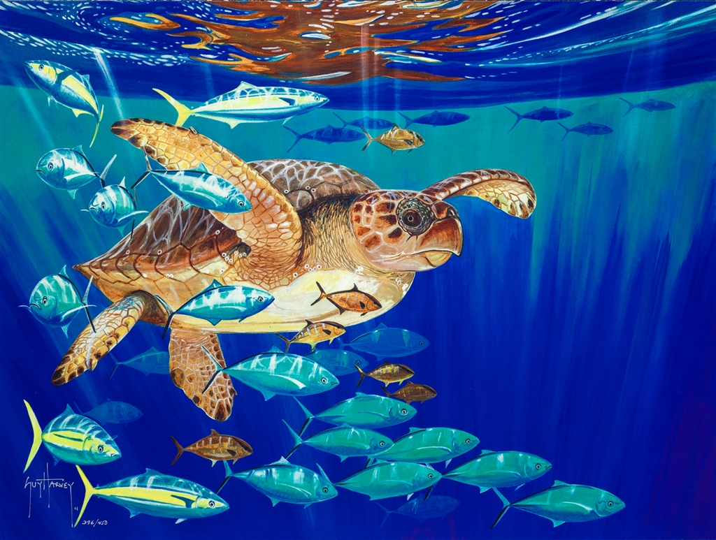 Guy Harvey Park West Gallery