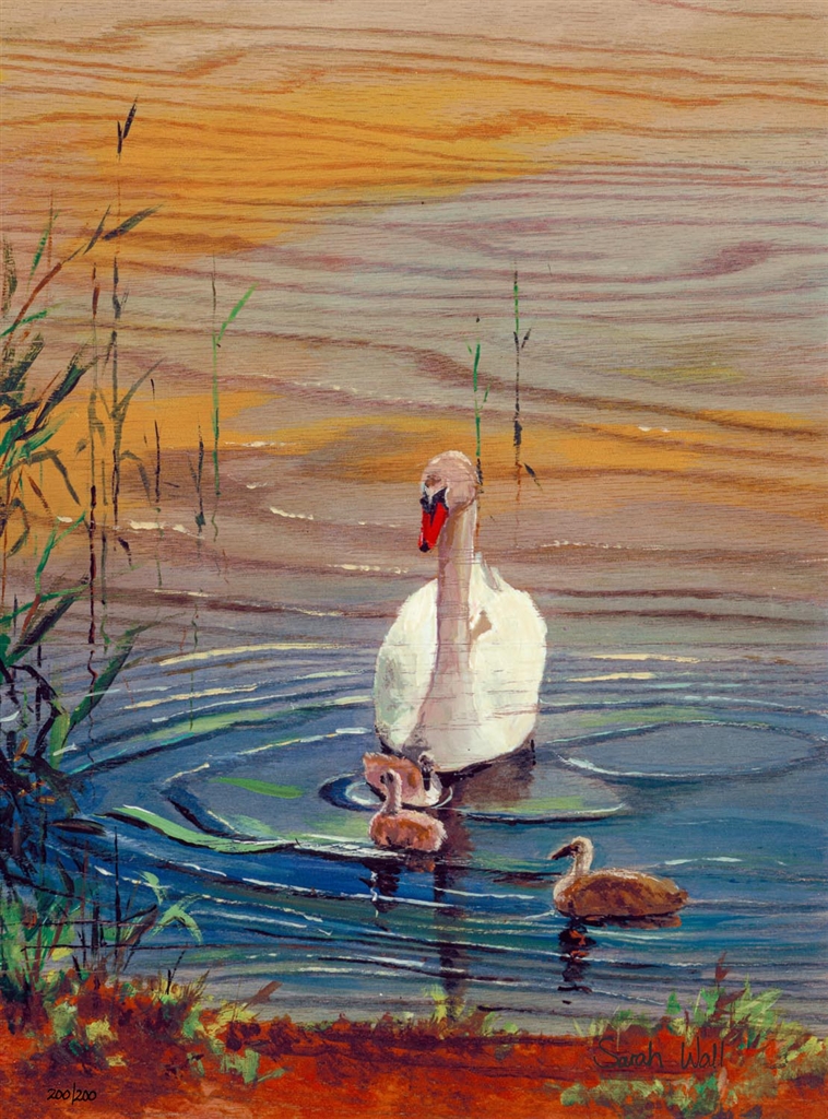 Browse Artwork by Sarah Wall Park West Gallery