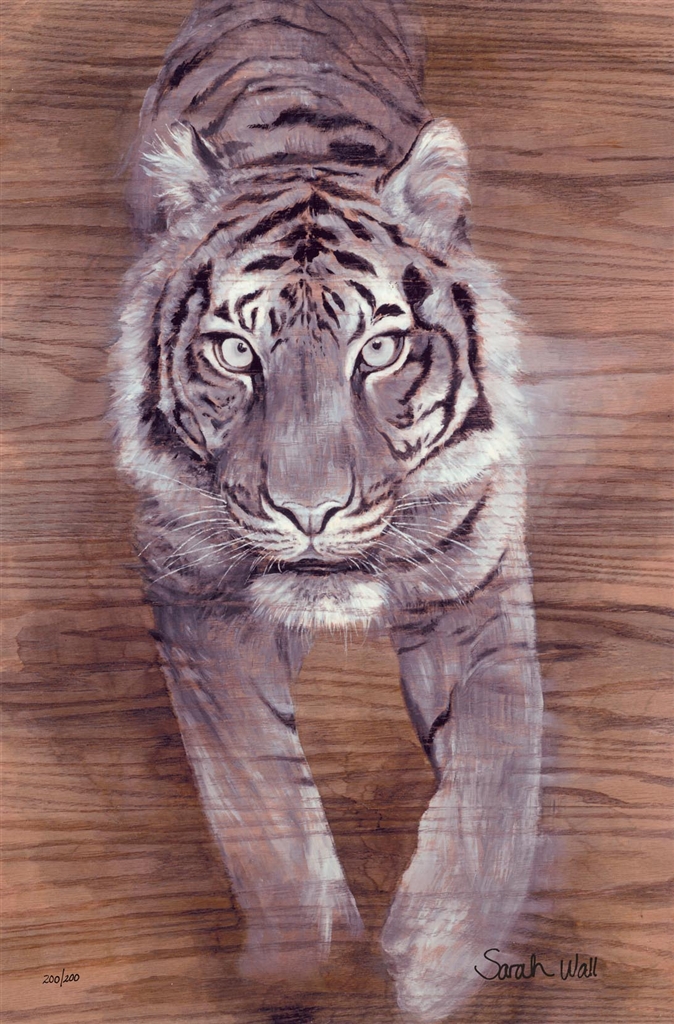 Browse Artwork by Sarah Wall Park West Gallery